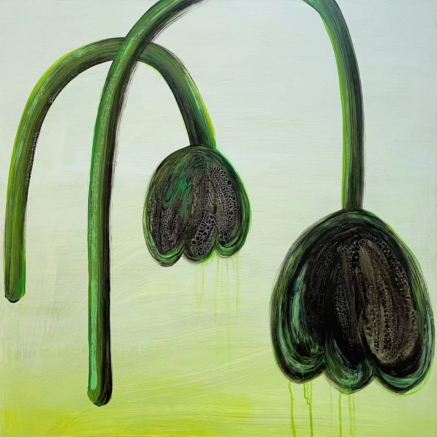 Two black flowers with green accents, their stems bending downwards like two arches of different sizes. The background features a hazy gradient shifting from gray-green to bright yellow-green.