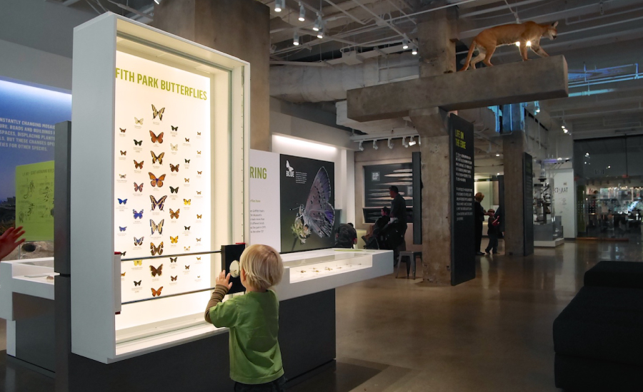The Nature Lab at the Los Angeles Natural History Museum. Courtesy of Red Cape Studio.