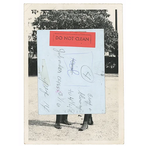 Bella Feinstein artwork