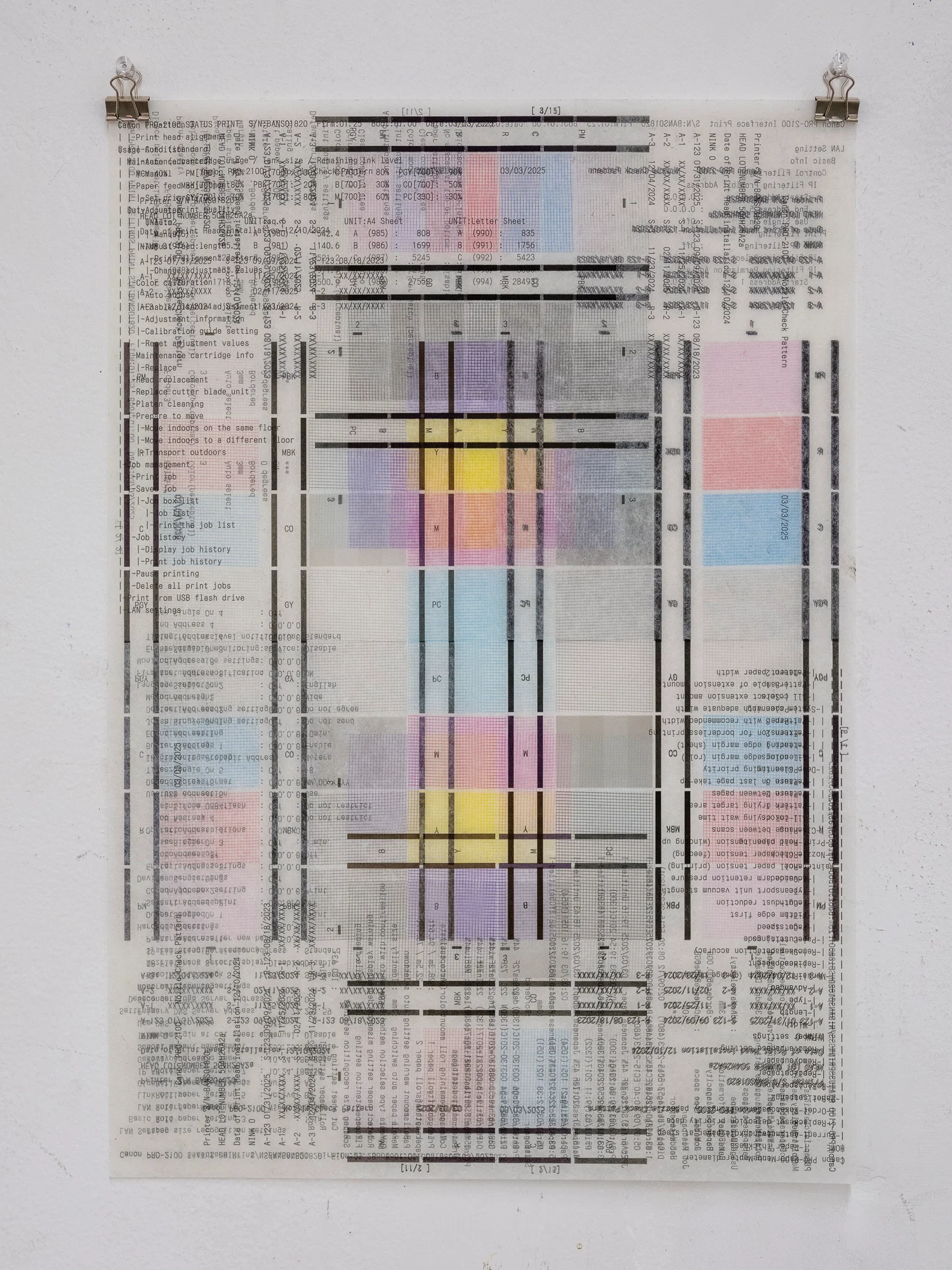 A photograph by Bennett Brizes titled "— 2025 diagnostics 1"
