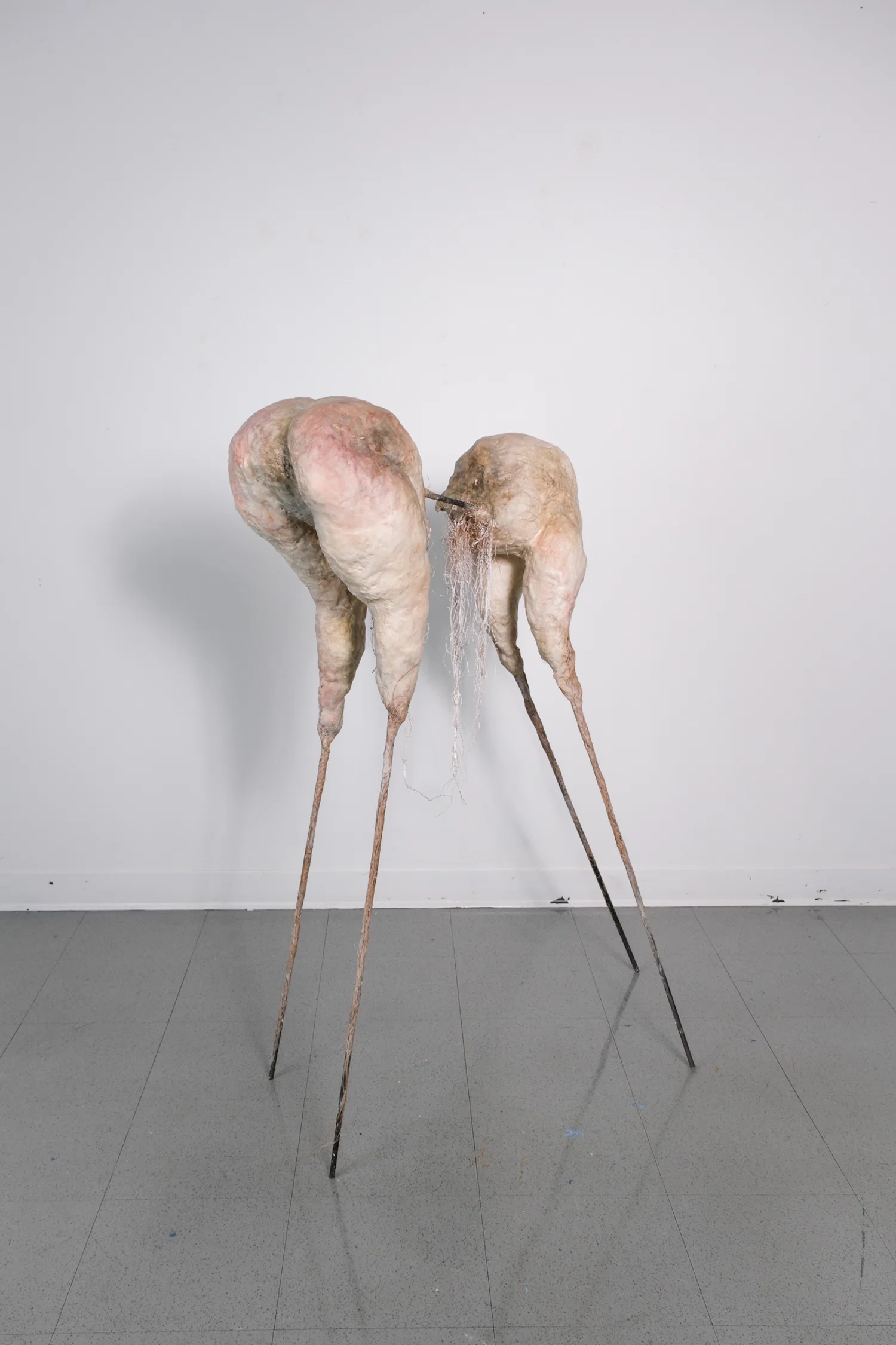 A two part form reminiscent of haunches and buttocks, coated in a waxy surface, atop a flesh-like color palette, facing at each other in a dual like position. It is built on a steel metal armature with thin pole legs that reach to the ground.