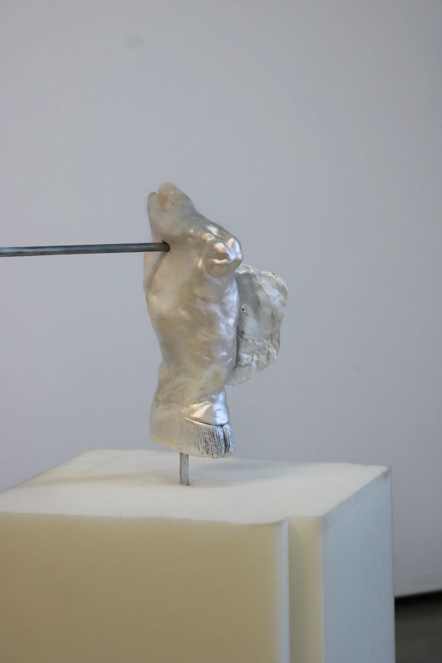 Same as above but closer shot of the hoof