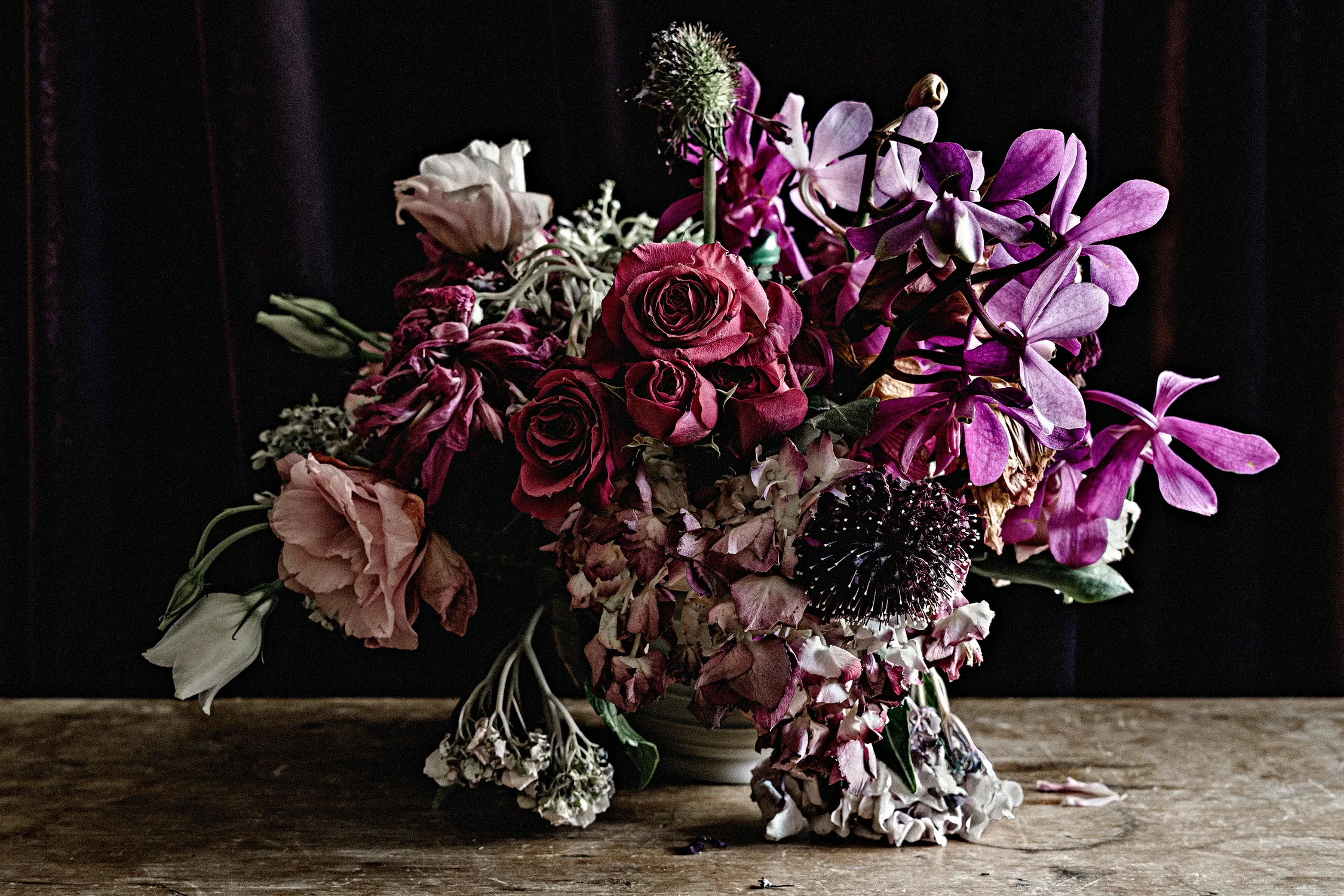 Still life of flowers