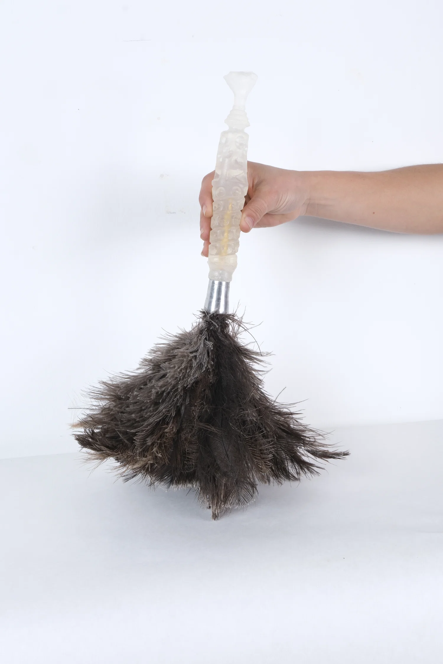 feather duster