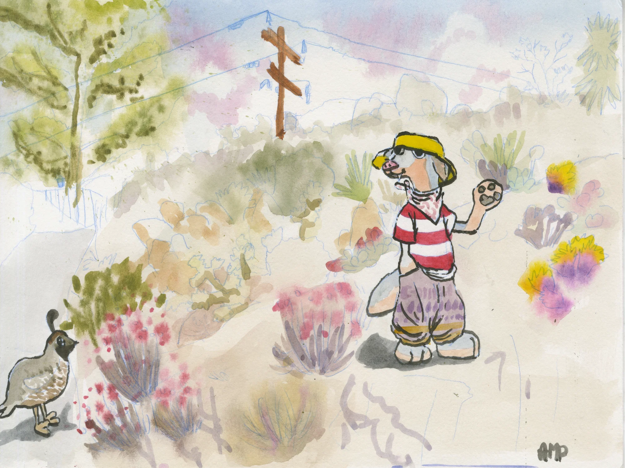Shy Coyote greets the inquisitive quail, at the desert of Yucca Valley.