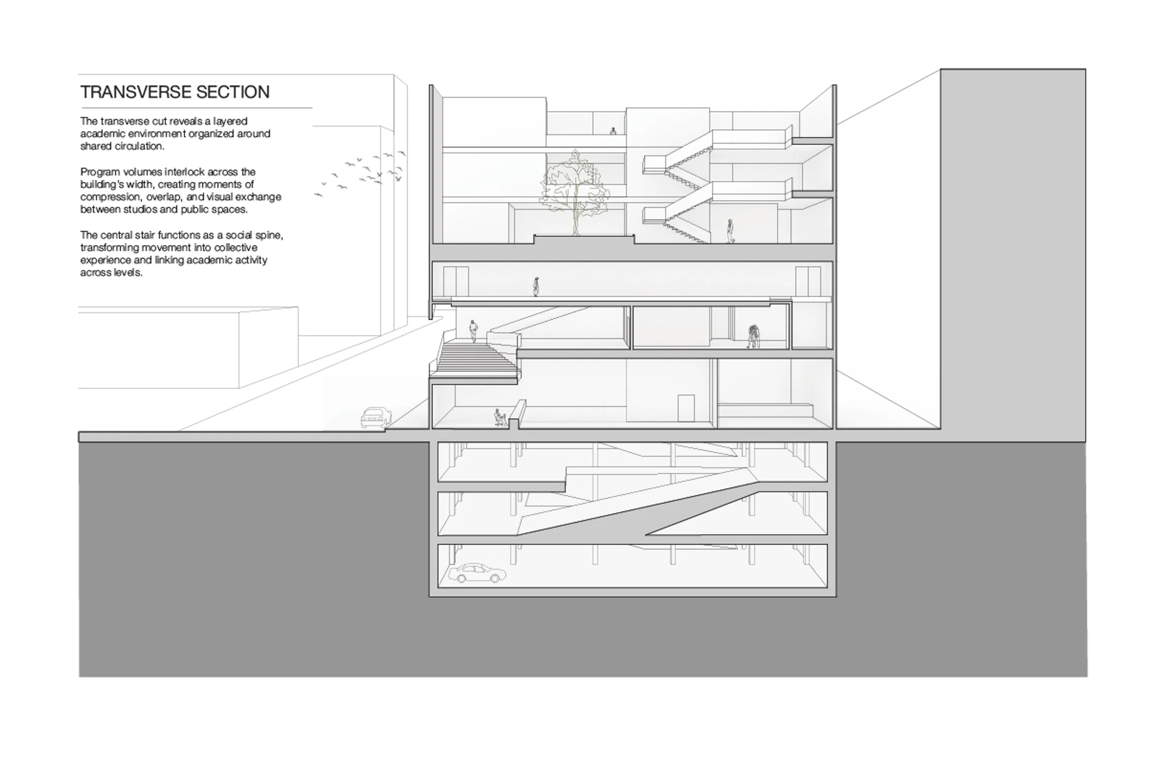 Transverse Section showing layered academic programs connected by a central social stair.