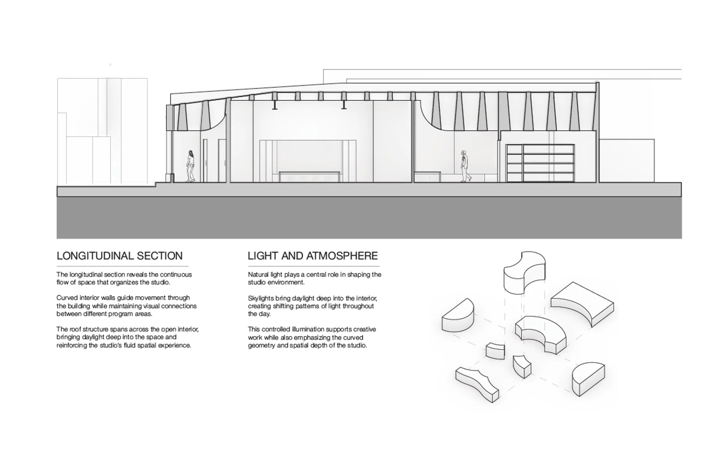 Architectural section drawing of Flow Studio showing curved walls, skylights, and interior workspace layout.