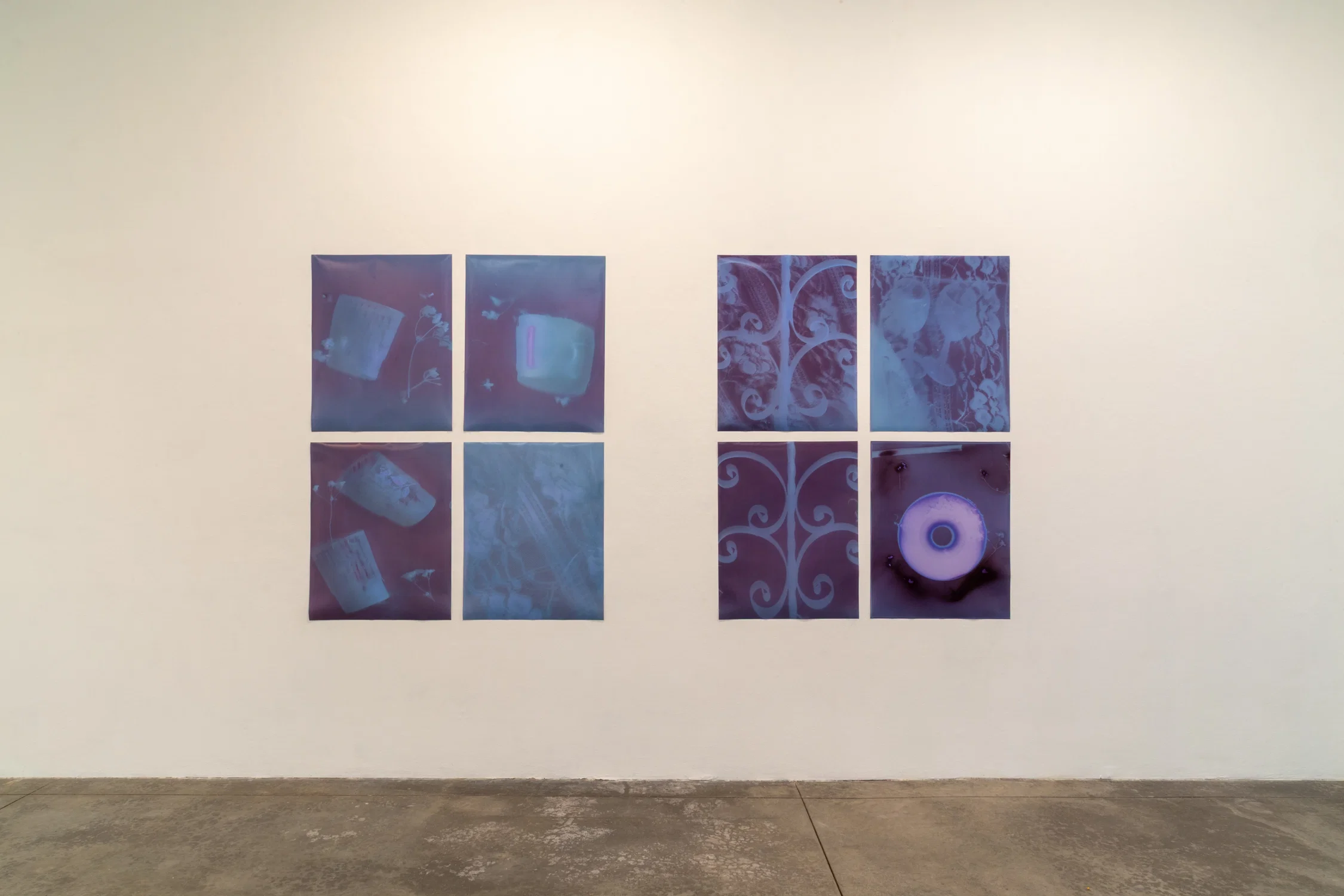 Installation of lumen prints