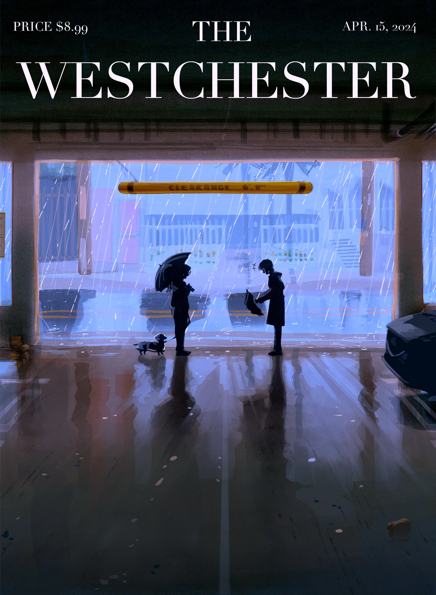 Editorial illustration for cover of 