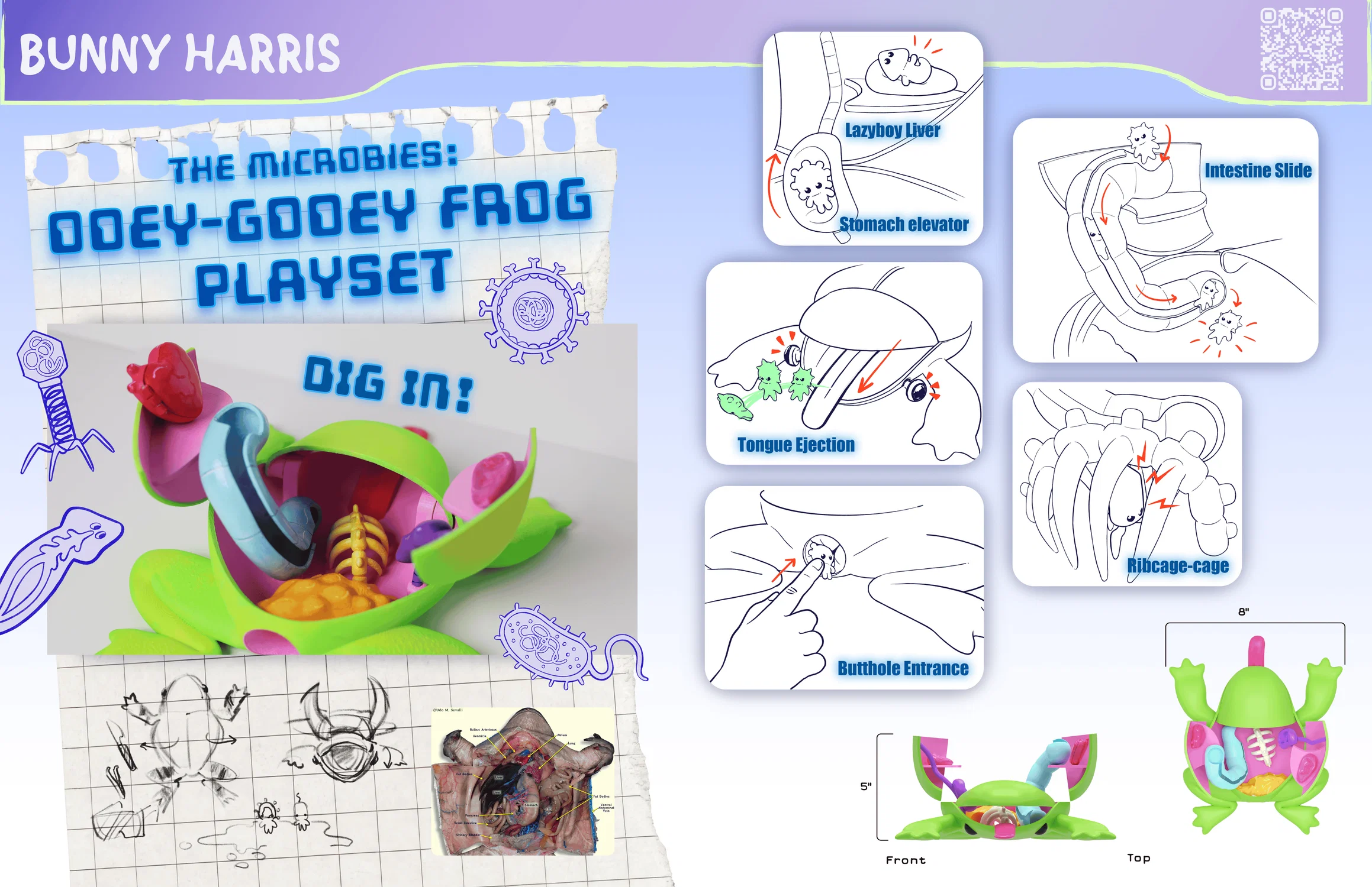 Interior shots of the frog playset