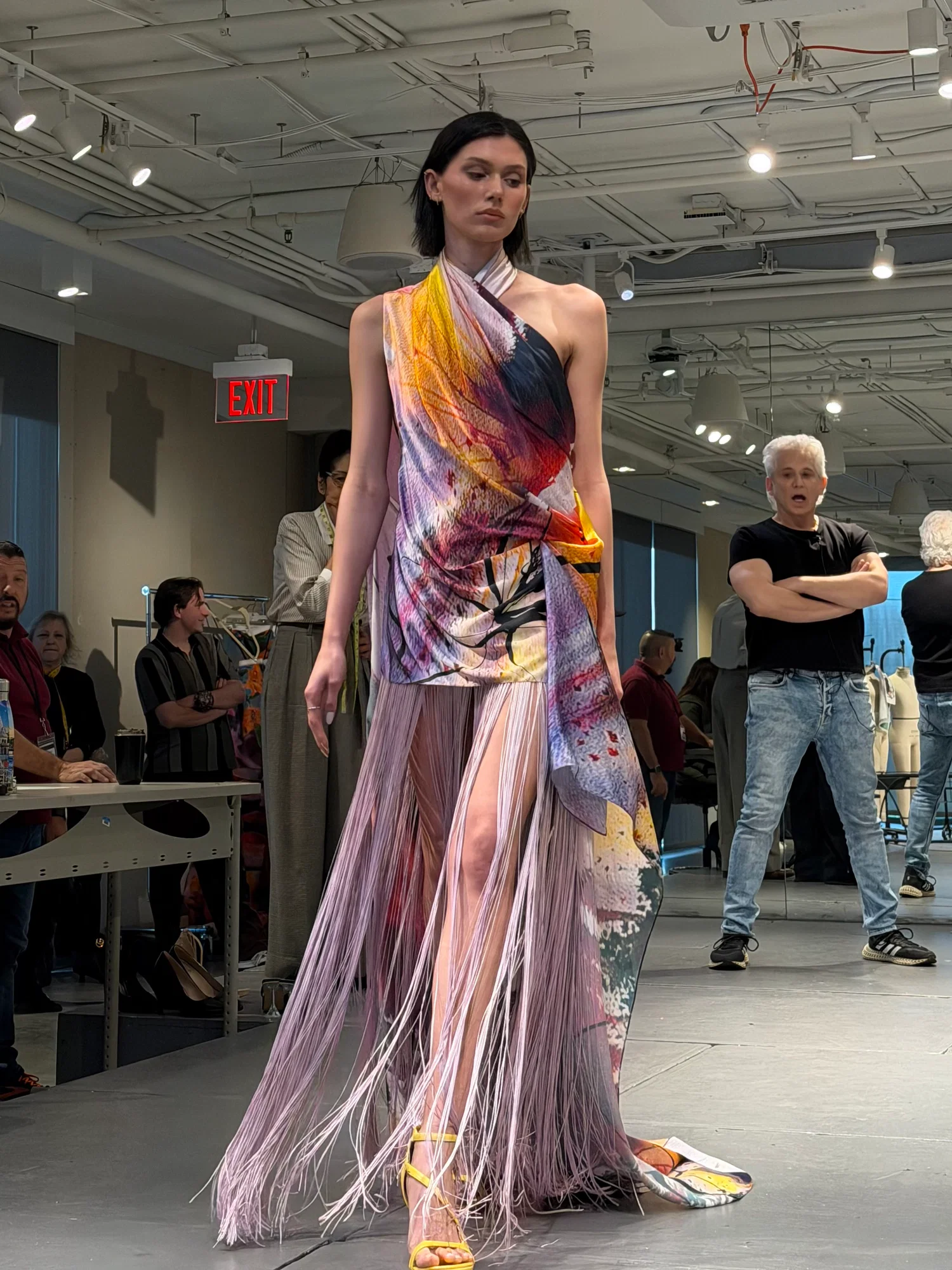 Fringe Dress for David Meister