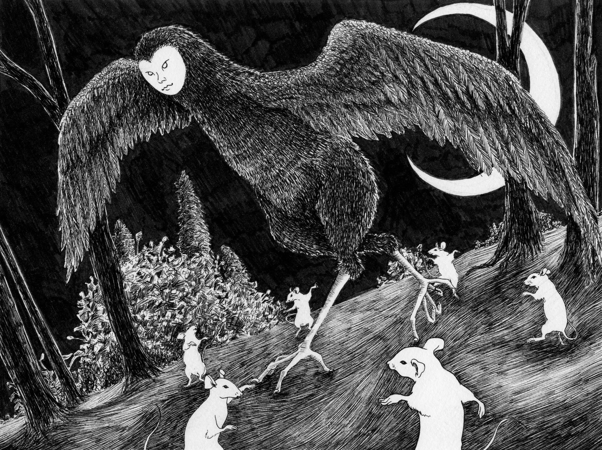 Pen drawing