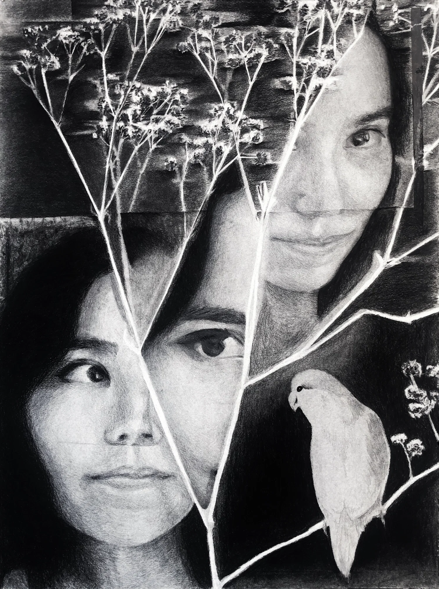 Pen drawing
