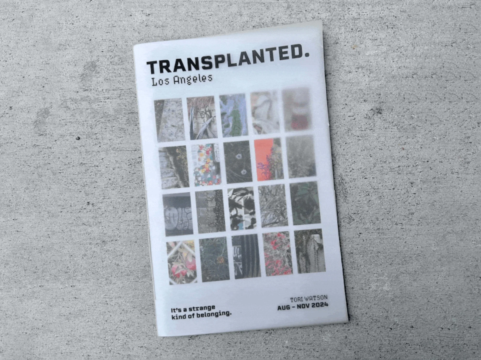 Transplanted: Los Angeles
