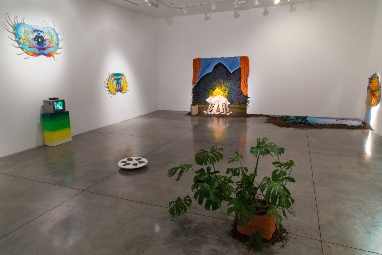 Trevor Coopersmith MFA Thesis Installation