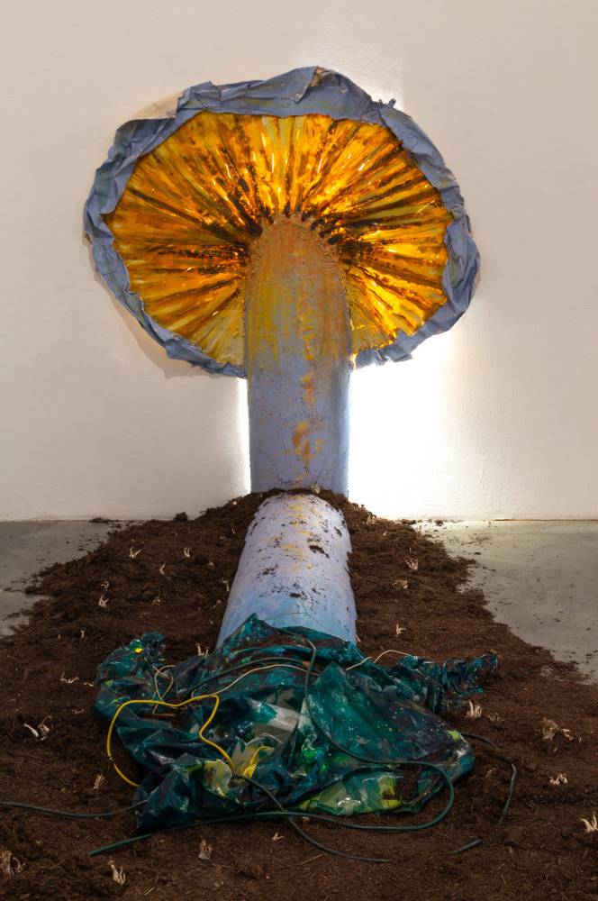 Trevor Coopersmith MFA Thesis Installation: Berth