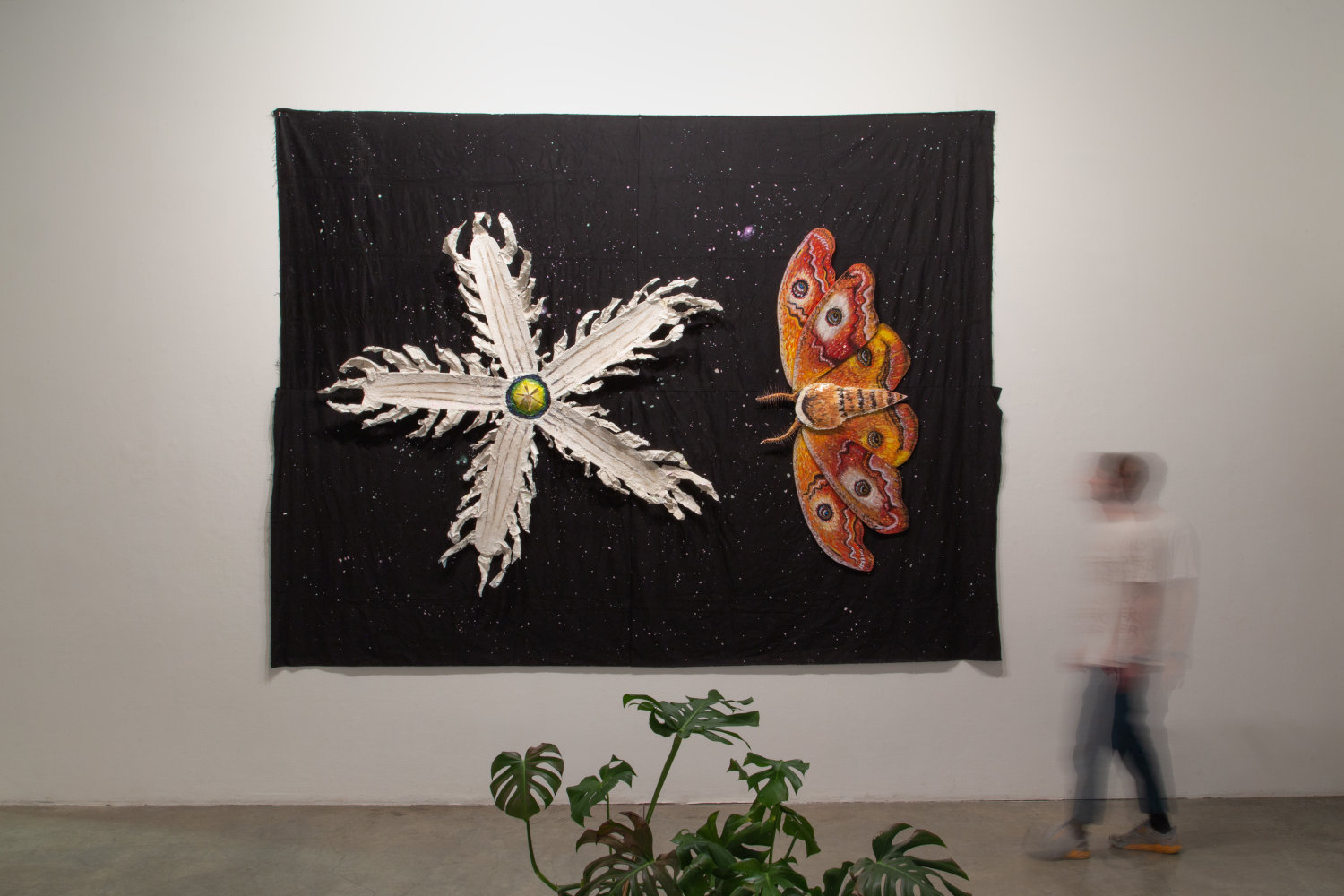 Trevor Coopersmith MFA Thesis Installation: Night Pollination