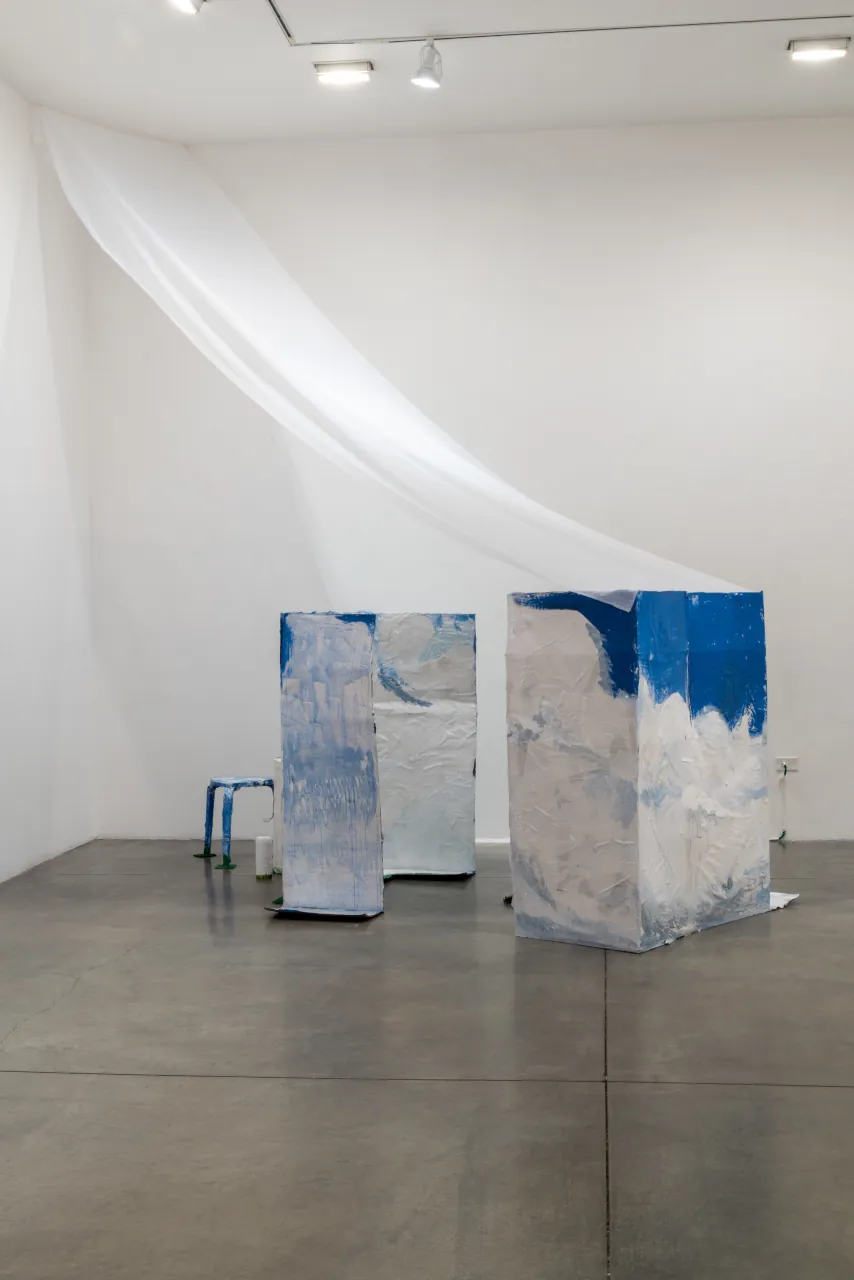 Jessica Wilcox 2025 MFA Thesis Installation