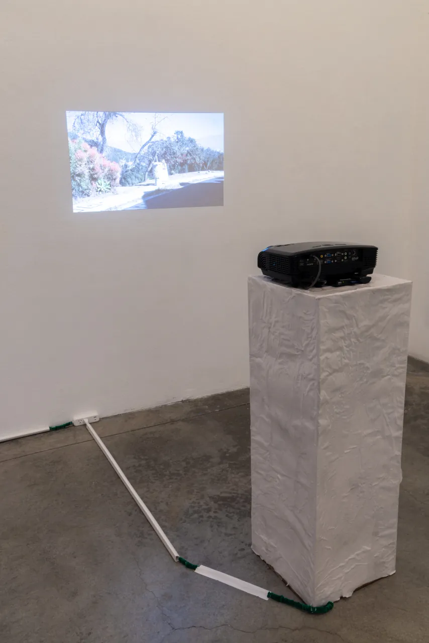 Jessica Wilcox 2025 MFA Thesis Installation