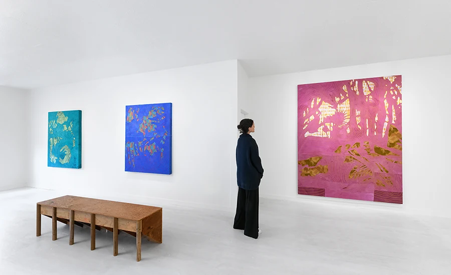 Aili Schmeltz Work: Installation