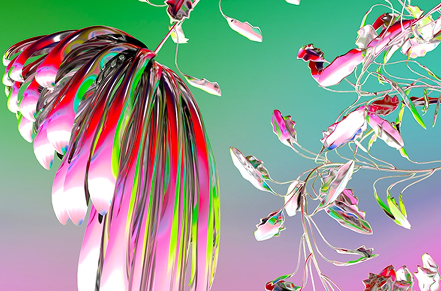 Hideyo Kameda's Work