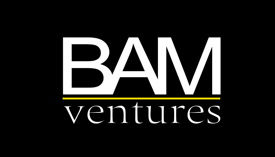DAM Ventures