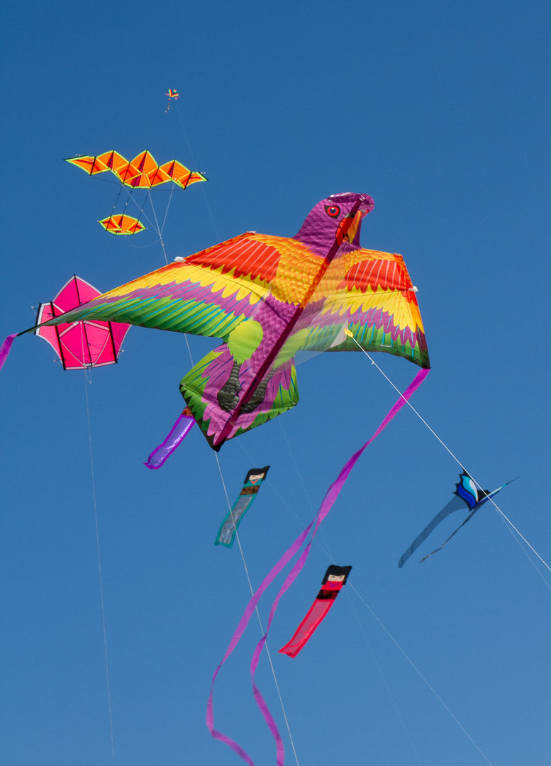 Kite Festival 2018