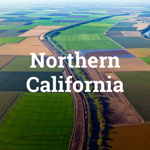 Link to 2021 Northern California page