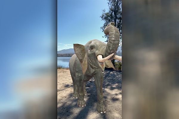 Snap AR Asset Library Elephant - World Lens