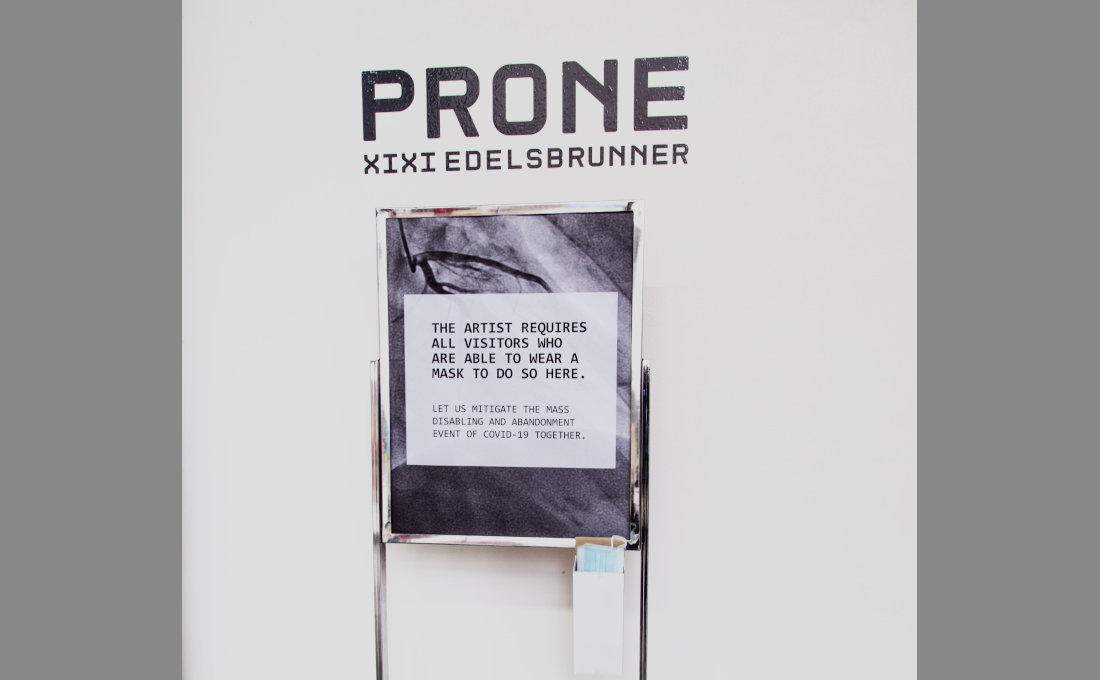 Entrance signage for the Xixi Edelsbrunner exhibit PRONE