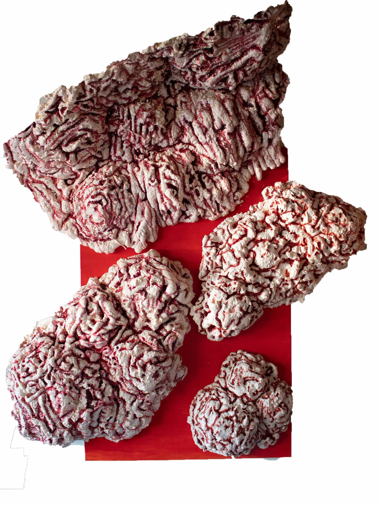 Four expanding foam objects composed on red background.