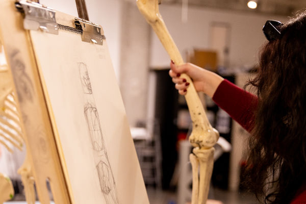 Student in Life Drawing class creating a drawing from a skeleton while holding a femur