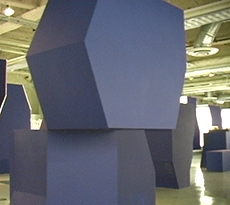 ALI Class of 2007 Installation