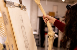 Student in Life Drawing class creating a drawing from a skeleton while holding a femur
