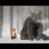 A fox and a bear sit pensive in the snow.