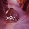 A half-human half-spider creature walks on a quiet desert.
