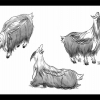 Value studies for a creature hybrid of a markhor goat and a hornbill bird.