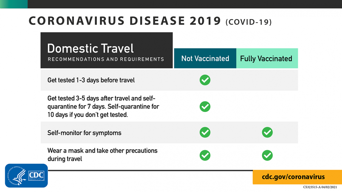 COVID-19 Domestic Travel Recommendations and Requirements